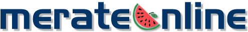 logo Merateonline