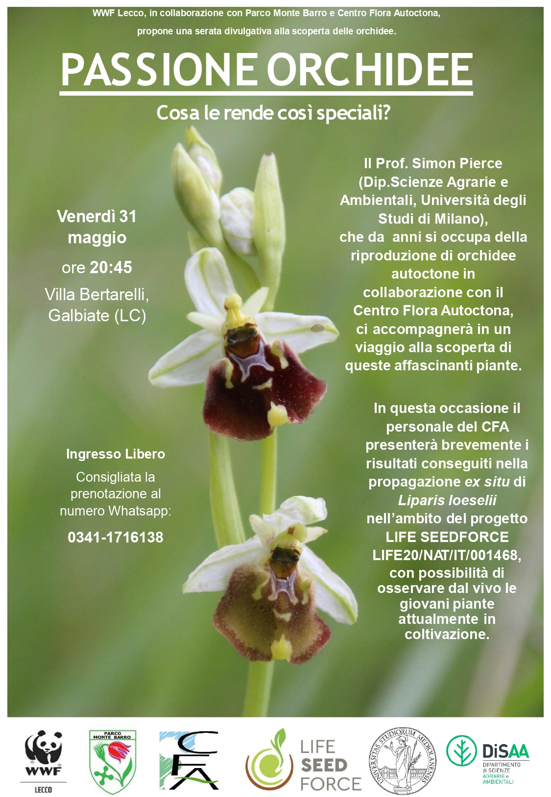 2024_05_Locandina_serata_orchidee.jpg (884 KB)