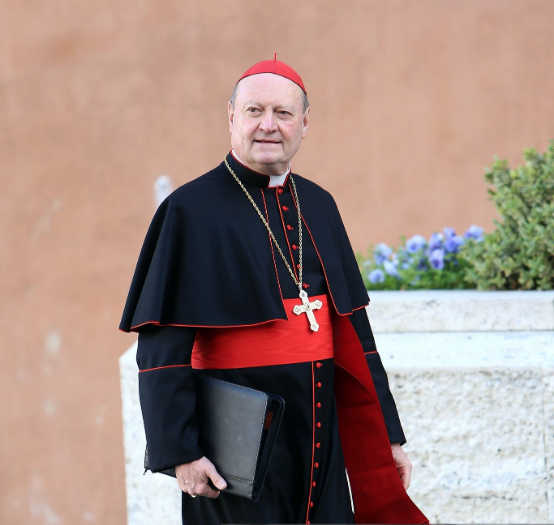 CardinaleGianFrancoRavasi.png (336 KB)