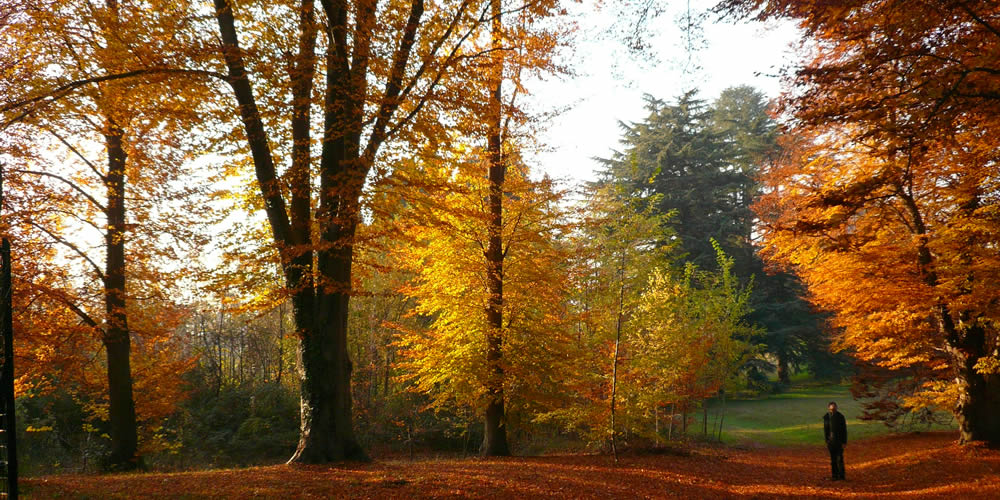 Il territorio si tinge d'autunno. Gli scatti dei lettori