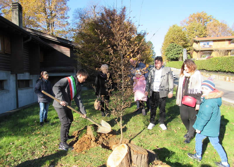 piantumazione_albero_montevecchia_04.jpg (129 KB)