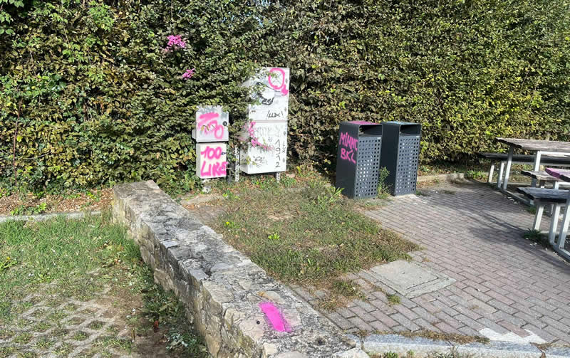 vandalismo_alta_collina_montevecchia_01.jpg (134 KB)