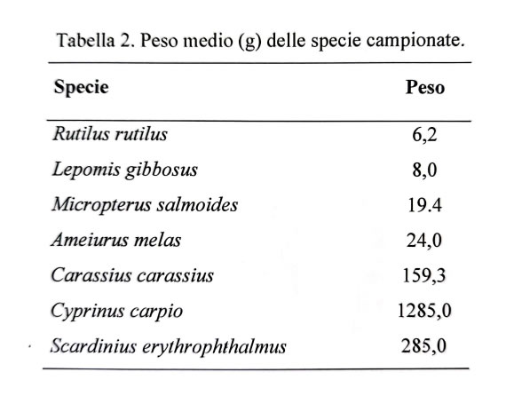 LagoSanRocco1.jpg (32 KB)