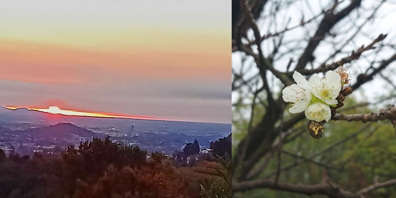 Due scatti dei nostri lettori raccontano la bellezza della Natura