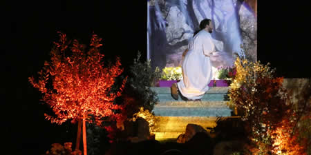 CalolzioPassioneVCPRIMA.jpg (19 KB)