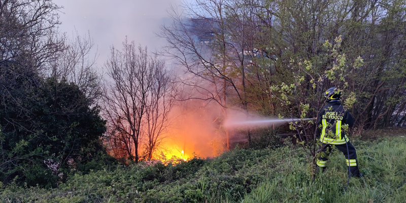 ColleSmHRogoPRIMA.png (756 KB)