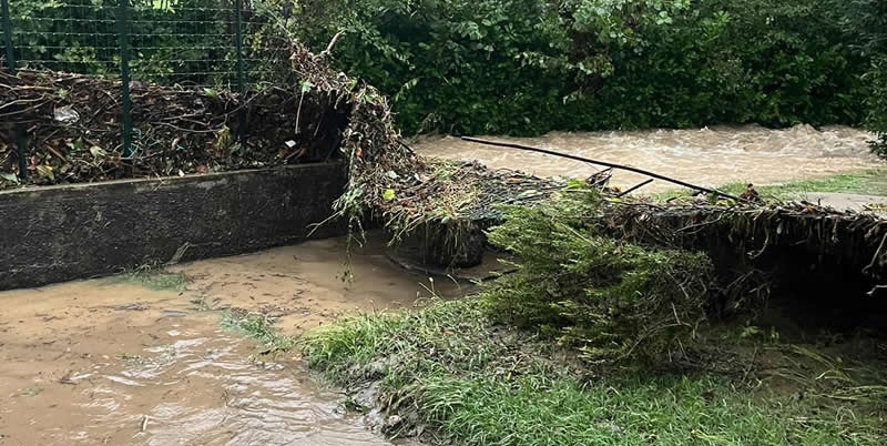 missagliamolinatapr.jpg (272 KB)