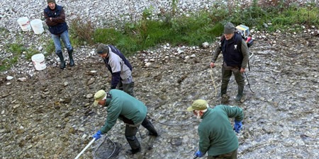 fipsas2025primaMOL.jpg (66 KB)