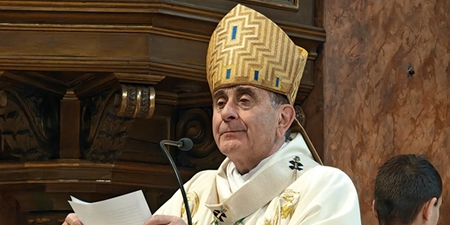 oggionodelpiniprima.jpg (78 KB)