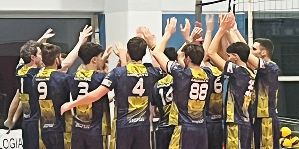 volley2m_pr.jpg (77 KB)