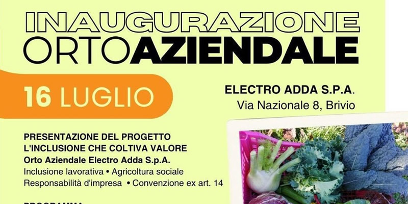 Orto_aziendale_ElectroaddaPRIMA.jpg (92 KB)