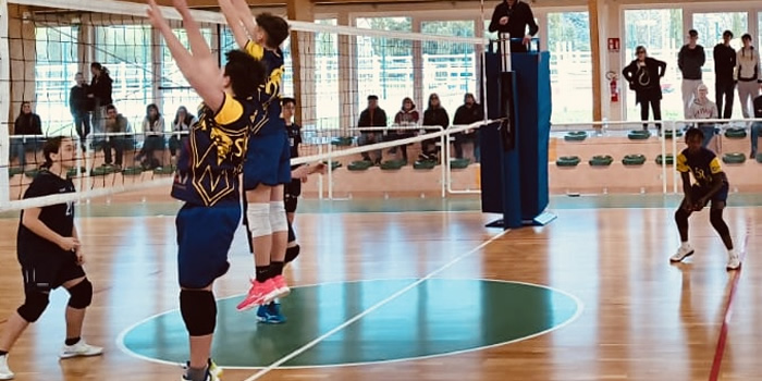 MerateUnderQUindici.jpg (110 KB)